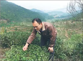  ?? PHOTOS PROVIDED TO CHINA DAILY ?? Tseng Kuan-ying works at his family’s tea plantation in Changtai county, Fujian province.