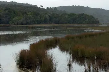  ??  ?? The tranquil Tautuku Wetlands is a great place to commune with nature.