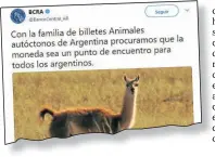  ??  ?? GUANACOS. Los flamantes billetes de 20 pesos llevan imágenes de guanacos. Los bancos lanzan préstamos para la compra de bienes durables.