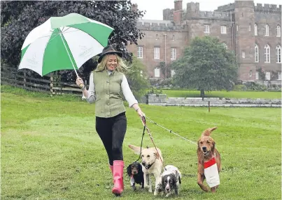  ?? Picture: Phil Hannah. ?? Game Fair visitor Carrie Anderson at Scone Palace yesterday with Corrie, Fetlar, Cider, Pete and Corrie.