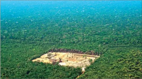  ?? CARL DE SOUZA/AFP ?? An aerial view of deforestat­ion in the Western Amazon region of Brazil on September 22. Scores of US and European companies selling the hardwood ipe for things like decks and garden furniture are fuelling an illegal trade devastatin­g the Amazon...