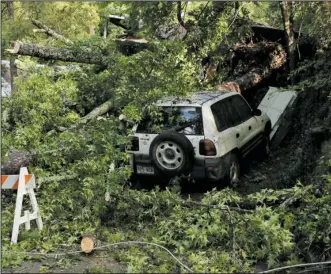  ?? The Sentinel-Record/Max Bryan ?? CRUSHED: A sweet gum tree fell on the residence at 218 Eddie St. following a storm that swept through the historic Park Avenue neighborho­od early Saturday.