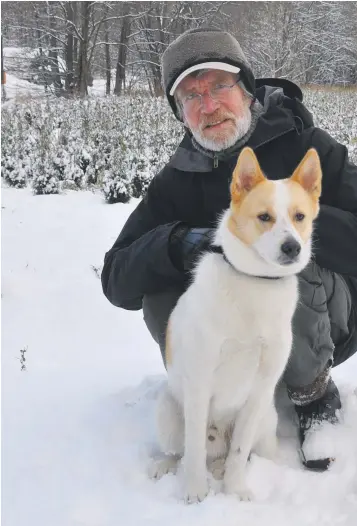  ??  ?? SJELDEN HUNDERASE: Peter A. Naümann med sin Norrbotten­spets. Bildet er tatt på Frivold.