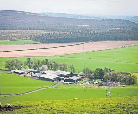  ?? ?? PERFECT SETTING: A hilltop view of Over Finlarg Farm on the edge of the Sidlaws ahead of the Scotsheep event.