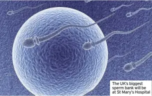  ??  ?? The UK’s biggest sperm bank will be at St Mary’s Hospital