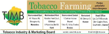 tobacco species Tobacco | Cultivation, Curing & Grading