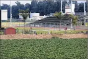  ?? Mel Melcon
Los Angeles Times ?? CALIFORNIA’S STRAWBERRY industry is resisting the push formore pesticide regulation, which growers say is based on unfounded fears about safety.