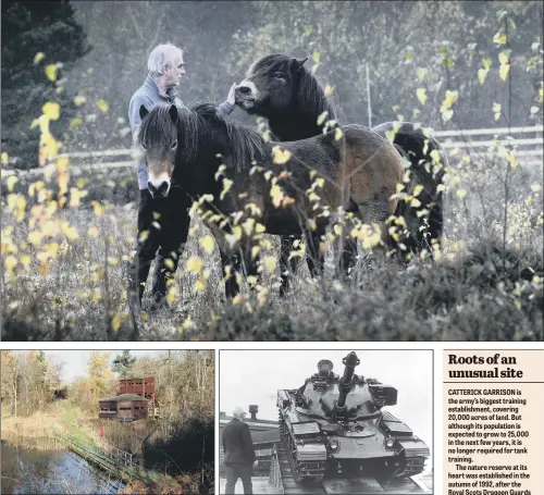  ?? PICTURES: SIMON HULME. ?? BACK TO NATURE: Steve Scoffin is pictured with the Exmoor ponies Lark and Taurus now helping to hold invaders at bay on the former tank training ground in North Yorkshire; the Foxglove Covert nature reserve at Catterick Garrison; a Chieftain tank on...