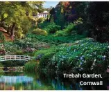  ??  ?? Trebah Garden, Cornwall