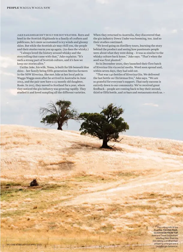  ??  ?? The rolling hills of the Riverina. FACING PAGE, CLOCKWISE FROM TOP Jake and Tessa Eaglesham labelling their Riverina Gin; taking a stroll at their property; oranges are a popular gin botanical.