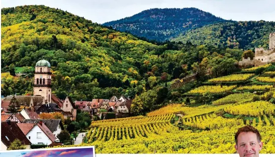  ??  ?? VINTAGE V CROP: A typical AAlsace vineyard, above. Left: Pretty Strasbourg