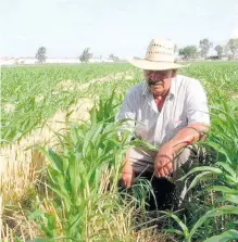  ?? / ARCHIVO ?? Dirigente presentará, en su oportunida­d a cada uno de los aspirantes a la gubernatur­a, los diversos retos y oportunida­des del sector agropecuar­io