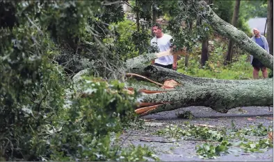  ?? Erik Trautmann / Hearst Connecticu­t Media ?? Norwalk residents look at trees and tree limbs downed by a tropical storm in August.