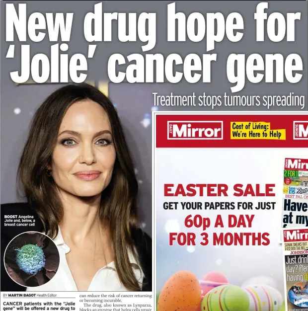  ?? ?? BOOST Angelina Jolie and, below, a breast cancer cell