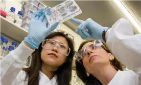  ?? Photograph: Janine Wiedel Photolibra­ry/Alamy ?? Students have been inspired to go into medical research is by Sinclair Lewis’s 1925 novel Arrowsmith.