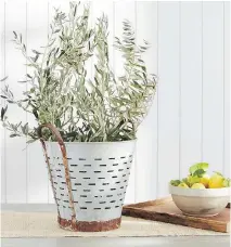  ?? POTTERY BARN ?? This vintage Turkish olive harvesting pot from Pottery Barn has character and style.