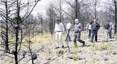  ?? MEDITERRÁN­EO ?? Mazón recorrió los terrenos afectados por el incendio del pasado verano junto a alcaldes y candidatos de la zona.