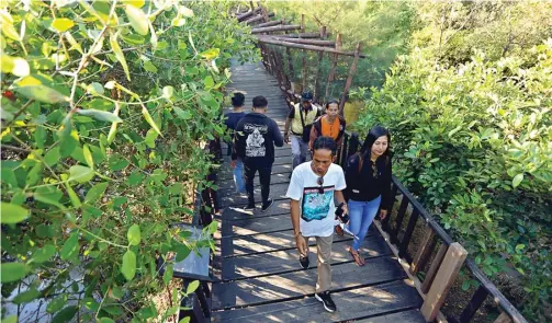  ?? ANGGER BONDAN/JAWA POS ?? MAKIN HIJAU: Pengunjung menikmati jogging track di tengah hutan bakau Wonorejo kemarin. Ekowisata Mangrove Wonorejo dan Gunung Anyar bakal menjadi kebun raya.