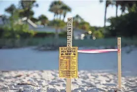  ?? PHOTOS PROVIDED BY MOTE MARINE LABORATORY ?? Mote Marine Laboratory’s Sea Turtle Conservati­on and Research Program documented the first local sea turtle nest of the 2024 season on Sunday on Venice Beach, marking the beginning of a crucial period for sea turtle conservati­on.