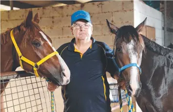  ?? Picture: STEWART McLEAN ?? ON THE HUNT: Trainer Trevor Rowe with Clever Hunter and Manoora Princess.