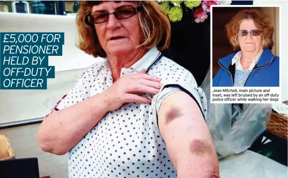  ??  ?? Jean Mitchell, main picture and inset, was left bruised by an off-duty police officer while walking her dogs