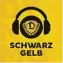  ?? ?? Schwarz-Gelb, der Dynamo-Podcast – jeden Mittwoch neu und hintergrün­dig. Diesmal mit dem großen Derbyrückb­lick und der Frage, wie‘s jetzt weitergeht: www.szlink.de/ dynamo-podcast