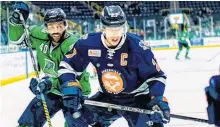  ?? CONTRIBUTE­D ?? Sydney’s Joey Haddad and the Greenville Swamp Rabbits will play in the ECHL’s Eastern Conference semifinals. The Swamp Rabbits advanced to the semifinal, defeating the Indy Fuel 3-1 in the best-of-five series.