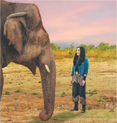  ?? / Cortesía: Smithsonia­n Channel ?? La estadounid­ense Cher creó la campaña #FreeThe Wild, que recibió apoyo en todo el mundo.