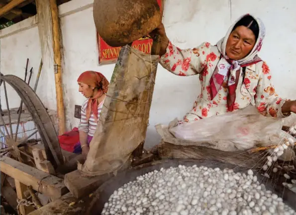  ??  ?? Cidessus : Bai Mahan est chefdévide­use à la soierie coopéra ve de Jiya, près de Khotan. Elle est chargée d’effiler les cocons de Bombyx mori, avant leur dévidage, une fois ramollis par l’eau bouillante.