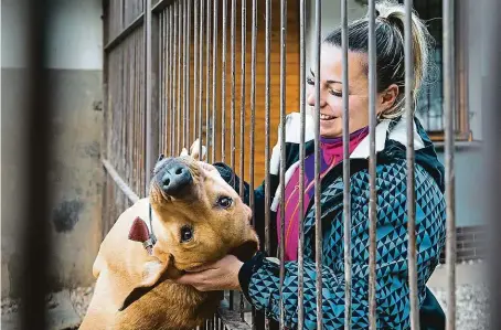  ?? FOTO MAFRA – MARTIN VESELÝ ?? Do nového domova. Některé útulky vybíraly zájemce o adopci zvlášť pečlivě, aby eliminoval­y riziko nechtěných návratů.