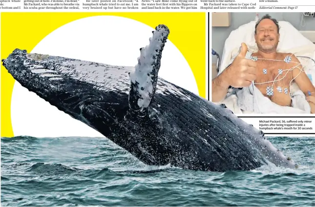  ??  ?? Michael Packard, 56, suffered only minor injuries after being trapped inside a humpback whale’s mouth for 30 seconds