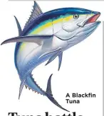  ?? ?? A Blackfin Tuna