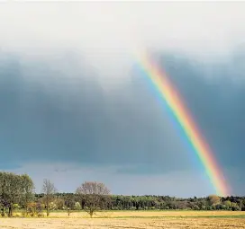  ??  ?? Experten halten die Möglichkei­t eines reinigende­n Sommergewi­tters für hoch – ohne dass sich die Großwetter­lage dadurch ändern sollte.