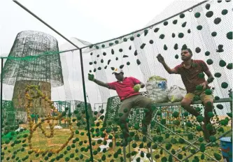  ??  ?? In this photo, Sri Lankan port workers assemble decoration­s on frames as they try to build an enormous, artificial Christmas tree on a popular beachside promenade in Colombo, Sri Lanka.