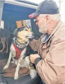  ??  ?? Reunited — Damien and his owner, Bruce Rolfe, after the dog was safely found.