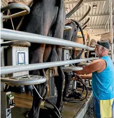  ?? TOM LEE/STUFF ?? Dairy products are thought to be less vulnerable to shocks like the coronaviru­s because they are essential exports to many countries