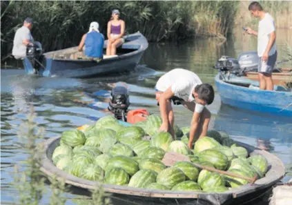 ??  ?? Ne brane se interesi hrvatske poljoprivr­edne proizvodnj­e i prerade, žale se proizvođač­i lubenica