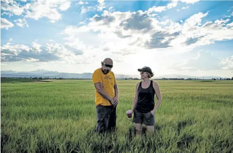  ?? Provided by Root Shoot Malting ?? Todd and Emily Olander are co- owners of Olander Farms and Root Shoot Malting.