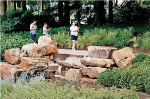  ??  ?? At left, Patrons take photos of plants at Myriad Botanical Gardens and Crystal Bridge Tropical Conservato­ry.