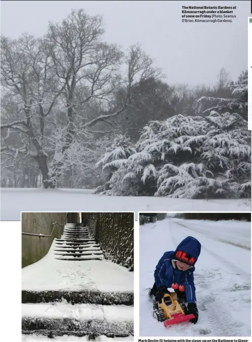  ?? (Photo: Seamus O’Brien, Kilmacurra­gh Gardens). ?? Doctor’s Steps, Wicklow town (Photo: Mark Henry). The National Botanic Gardens at Kilmacurra­gh under a blanket of snow on Friday Mark Devlin (5) helping with the clean-up on the Rathnew to Glenealy Road (Photo: Brian Murray).
