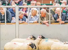  ??  ?? Lady Claire signs copies of the Scotch Lamb recipe book for local farmer Peter Kennedy and for Aileen McFadzean, from the Blackface Sheep Associatio­n.