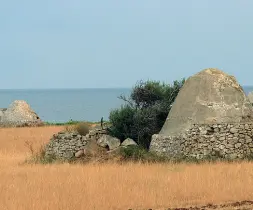  ??  ?? Ecco i trulli della discordia
L’iniziativa del parco è partita all’indomani della concession­e edilizia rilasciata dalla stessa Regione per un resort.