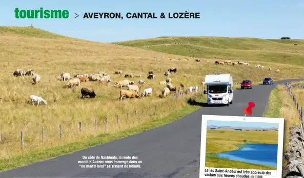  ??  ?? Du côté de Nasbinals, la route des monts d’Aubrac vous immerge dans un “no man’s land” saisissant de beauté. Le lac Saint-Andéol est très apprécié des vaches aux heures chaudes de l’été.