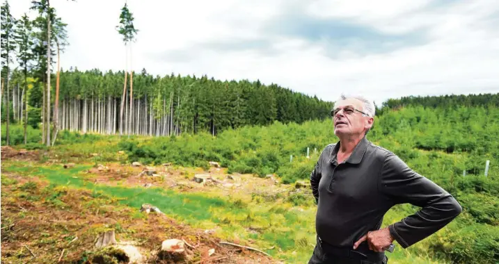  ?? Fotos: Ulrich Wagner ?? „Der Wald macht einen demütig“, sagt Georg Lechner. 36 Hektar hat er von seinem Vater geerbt. Er sieht den Wald aber auch als „Baustelle“, auf der die Arbeit nie endet. Zum Beispiel, wenn – wie hier – wieder der Borkenkäfe­r da war.