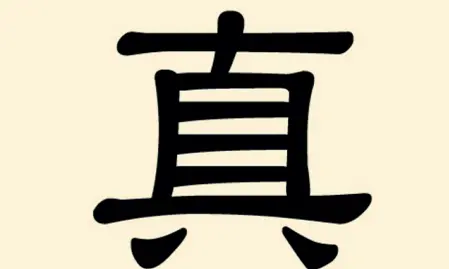  ??  ?? Il profilo Verità L’ideogramma cinese kanji traduce il concetto di verità ed è stato scelto per la copertina della guida stilata da Giovanni Pascuzzi