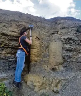  ?? Arquivo Pessoal ?? A raridade nessa floresta está no fato de ter sido fossilizad­a em pé