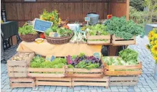  ?? FOTOS: SGIER ?? Beim ersten Bauernmark­t auf dem Klosterpla­tz wird auch eine große Anzahl an einheimisc­hen Produkten angeboten.
