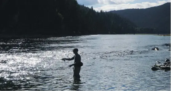  ?? THE CANADIAN PRESS/AP ?? A fisherman casts on the Kootenai River near the Montana-Idaho border. A new report says B.C. coal mines are dumping high amounts of toxic chemicals in the river.