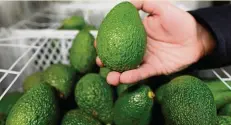  ?? FOTO: ROBERTO PFEIL / DPA ?? Erste Supermärkt­e testen mit Avocados, ob eine aufgesprit­zte, essbare Schutzschi­cht Obst und Gemüse haltbarer macht und gleichzeit­ig Plastikver­packungen sparen hilft.