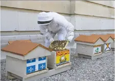  ?? COURTESY THE GOVERNMENT OF CANADA ?? Thirteen beehives — one for each province and territory — now sit atop the Senate of Canada Building.